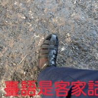 涼鞋絲襪