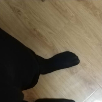 无聊拍几张