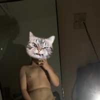 丝袜