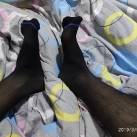 签个到冒个泡