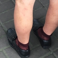 今天街上拍的